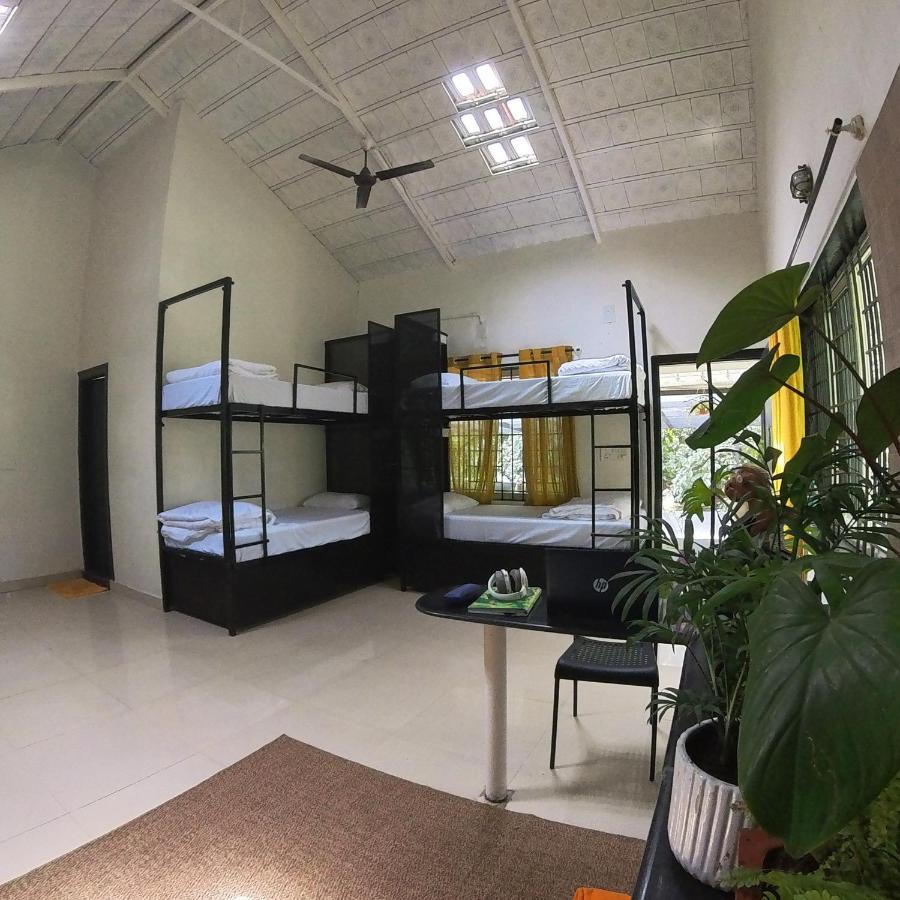 Benomadic Eco Hostel, Madikeri, Coorg Suntikoppa Exteriér fotografie