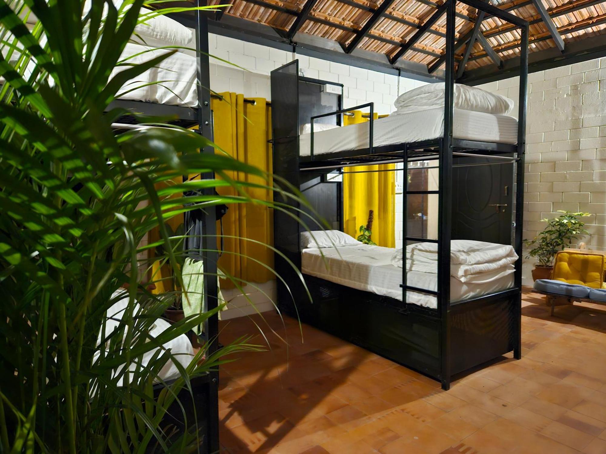 Benomadic Eco Hostel, Madikeri, Coorg Suntikoppa Exteriér fotografie